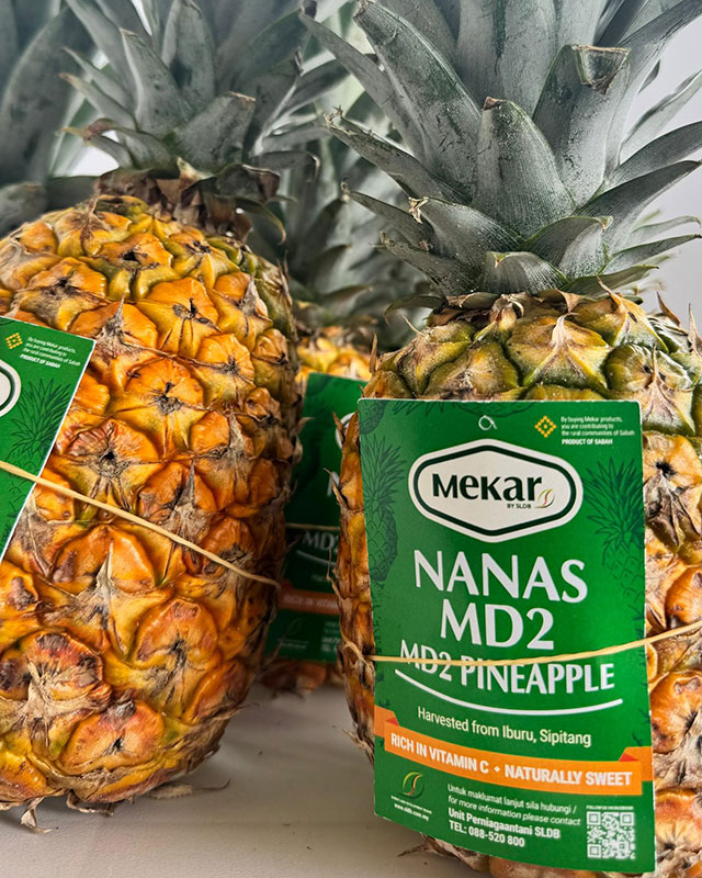 Nanas MD2